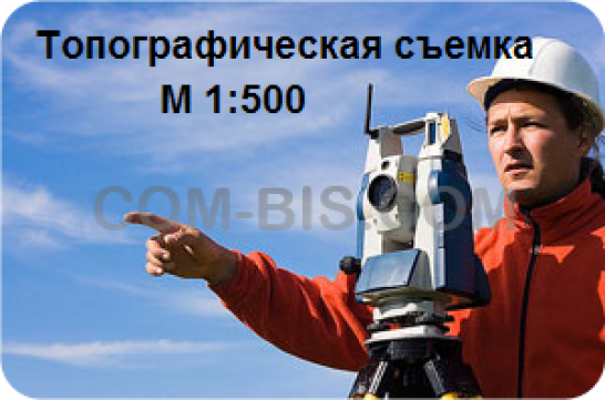 Топографическая съемка (топосъемка) М 1:500
