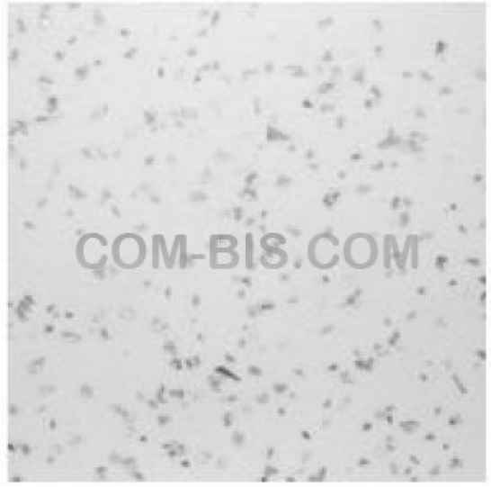 Столешницы кухонные Duropal