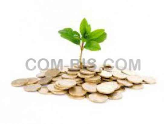 Тендерный кредит