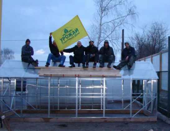 теплицы Урожай