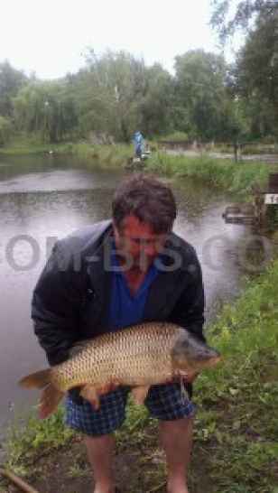 Рыбалка в Киеве (Выдубичи)