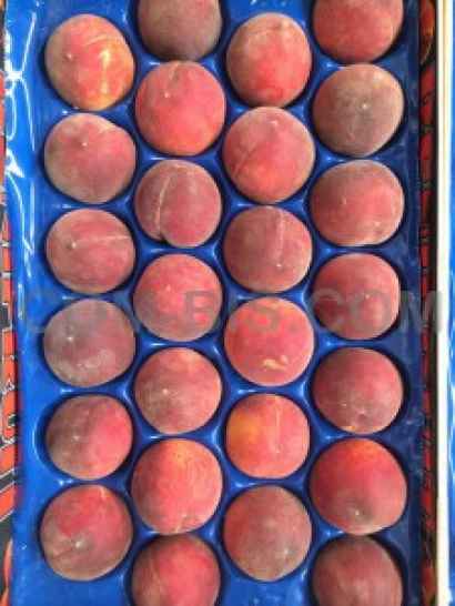 Персик, Испания