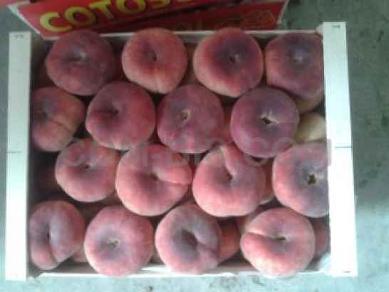 Парагвайский персик, Испания