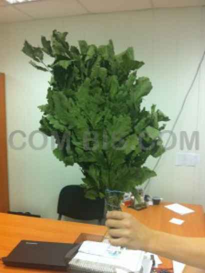 Банный Веник, ИП Егоров А.В.