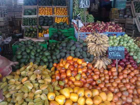 Фрукты оптом