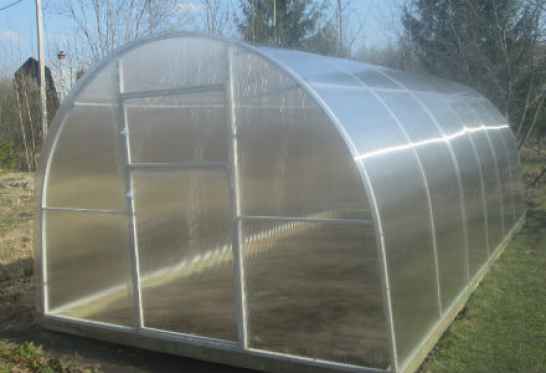 Теплица Триумф 