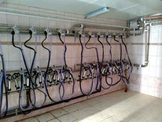 Молокопровод 