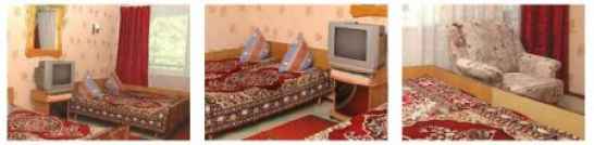 Трехместный номер со всеми удобствами, база отдыха Самара