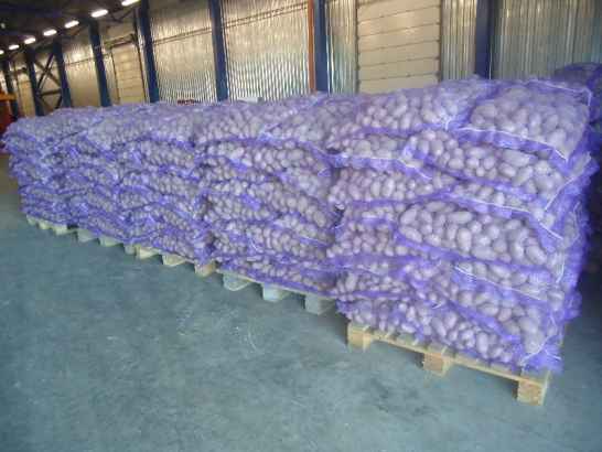 Картофель из Беларуси