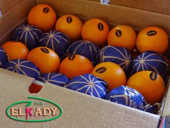 Апельсин, Египет