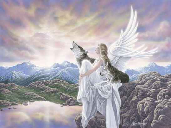 Благоустройство захоронений,уход за могилами.