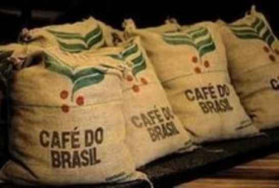 Кофе Арабика Бразилия Сантос,  натуральный, зеленый (необжаренный) в зернах