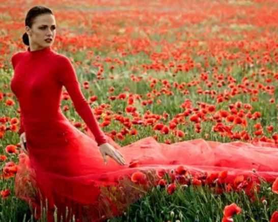 Тренинг выездной  