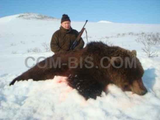 Охота на медведя на Камчатке