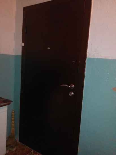 Металлическая входная дверь для квартиры