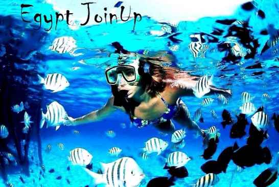 Туры в Египет из г.Львова