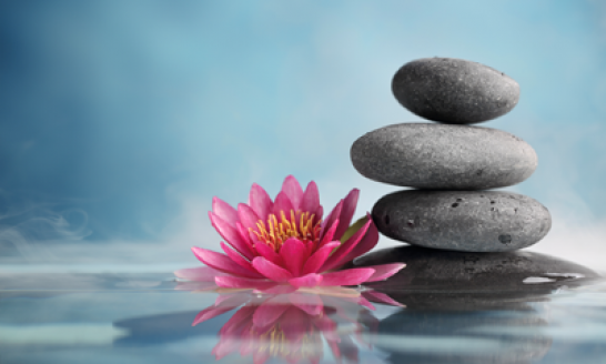 Курсы Ошо медитация 