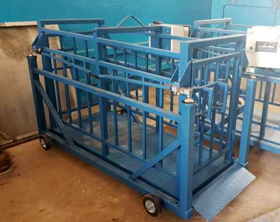 Весы Ферма-500-С-М1 животноводческие (для скота)