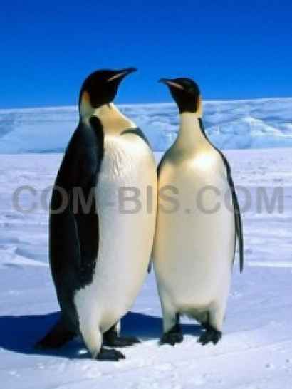 Холодильная камера КХН-6,61