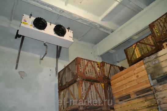 Холодильное оборудование для овощей, фруктов и ягод.