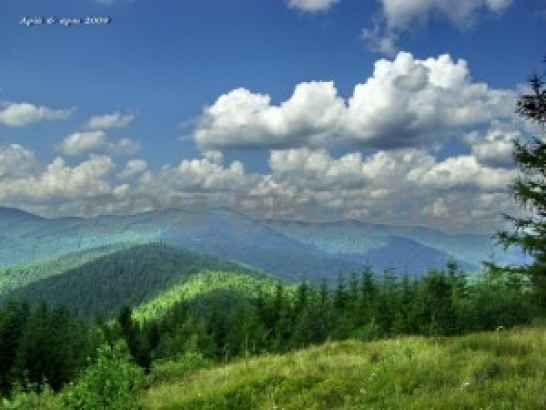 Участок в Карпатах