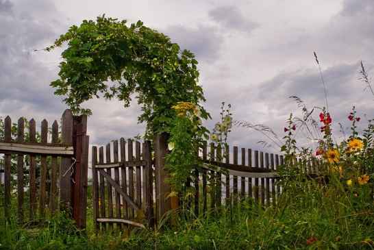 Продам дачный участок, с.Чапаевка