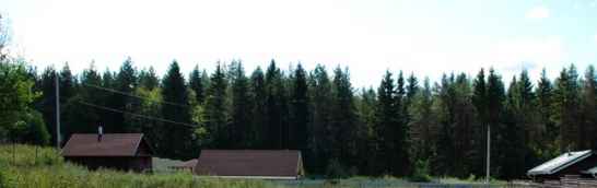 Участок 19 соток в д.Донцо, Волосовский район, озеро Кюрлевский карьер