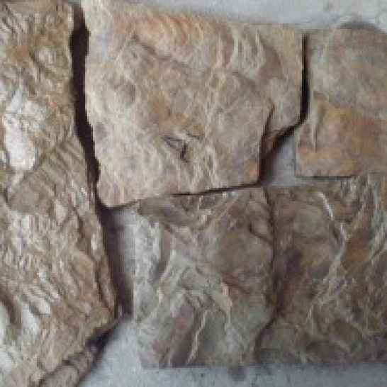 Камень пластушка песчаник  натуральный природный Дракон