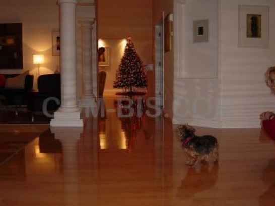 Ламинат SUPERGLANZ  ELESGO CLICK