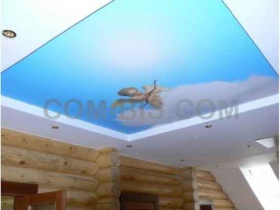 натяжной потолок с Арт печатью Lackfolio