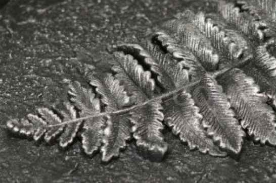 Краска «ЦЕРТА-ПАТИНА»