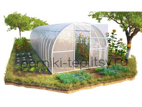 Теплица Триумф Цинк усиленная 1,6м 