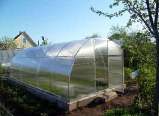 Теплица Триумф Эко