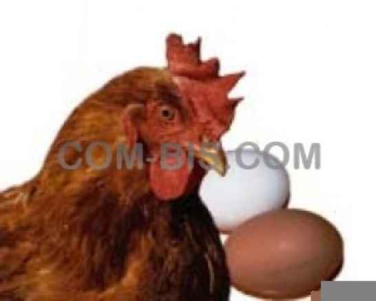 Комбикорма Бест МИКС (BestMIX)