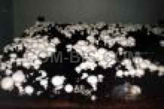 Мицелий Шампиньона А 1015