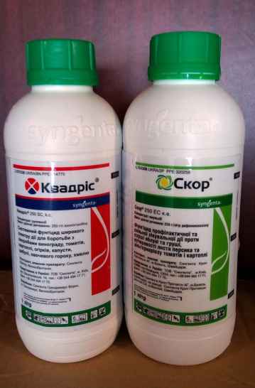 фунгициды, фитал, строби, квадрис, скор, импакт, хорус, амистар, топсин