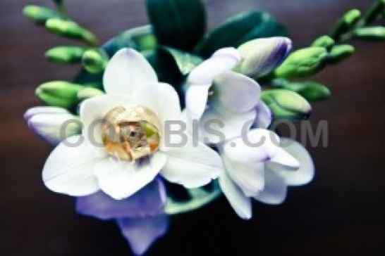 fotos'emka of the dearest moments