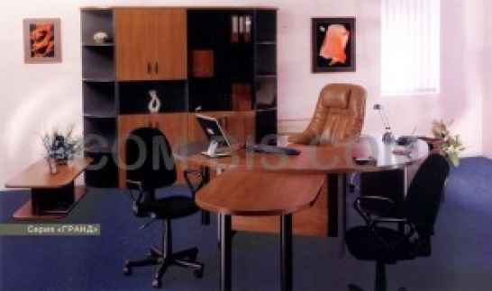 Офисная мебель для кабинета директора 
