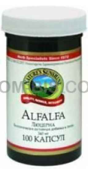 Альфальфа, Люцерна