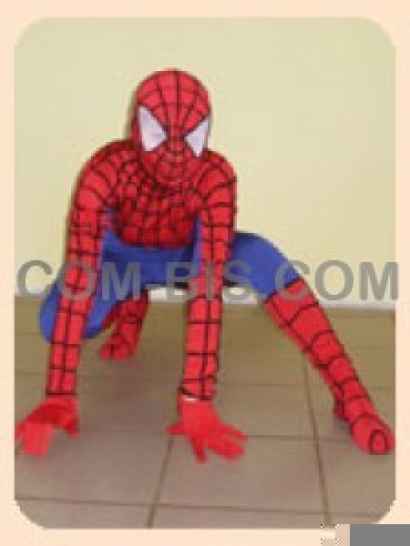 Услуги аниматора (человек Паук) на детский день рождения