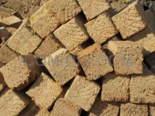 Ракушечник крымский М25