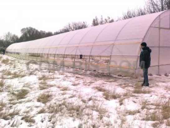 Теплица пленочная 