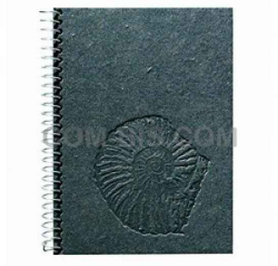 Ежедневники из нефти ООО 