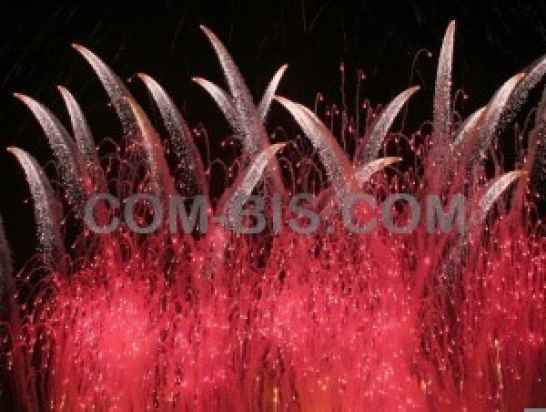 Свадебный салют, 