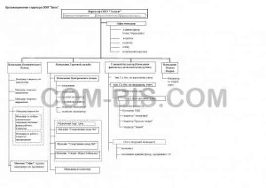 Оптимизация организационной и функциональной структуры бизнес-предприятия