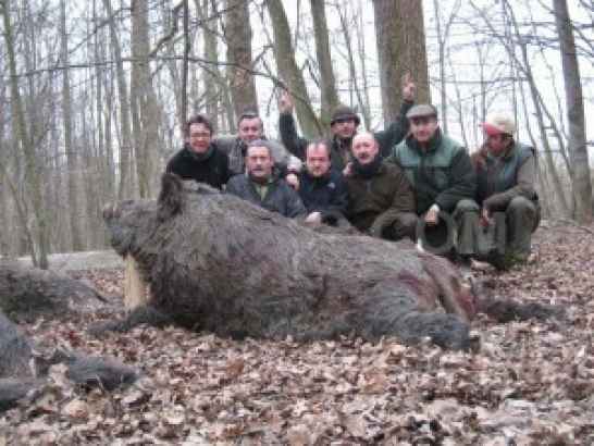 Охота в Хорватии