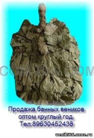 Банный веник, ИП Заплатина