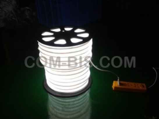 LED neon flex DGNF-2W-WHITE