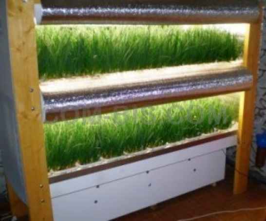 Оборудование для выращивания зеленого лука и зеленого корма ГУВОСИТ