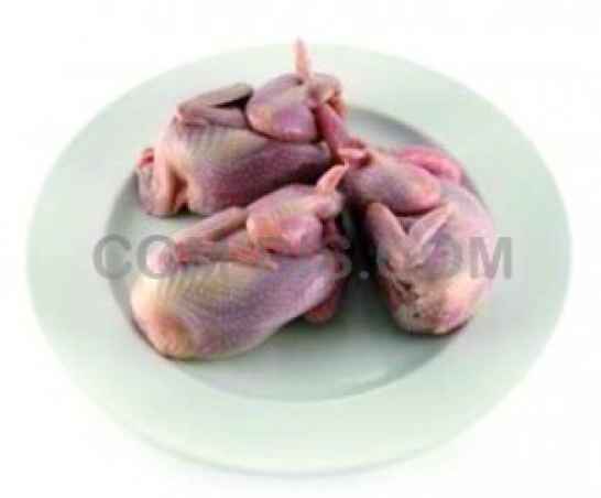 Перепелиное мясо SD Company